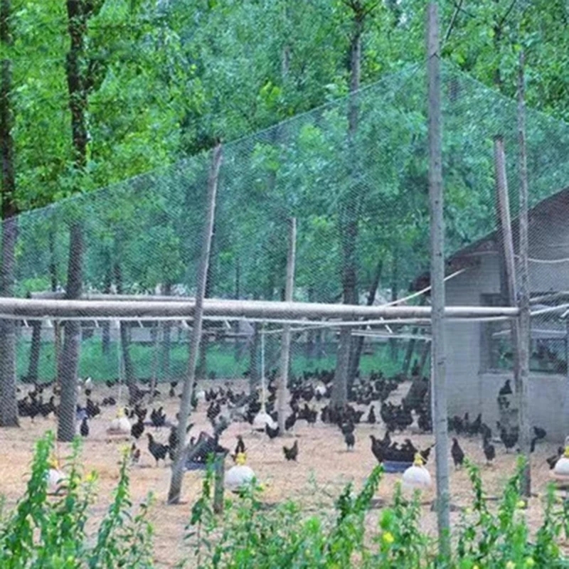 Protective Fence Net Anti-bird - Fishing Equipment Net 리뷰 및 가격