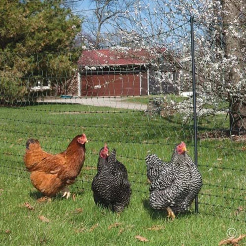 Protective Fence Net Anti-bird - Fishing Equipment Net 리뷰 및 가격