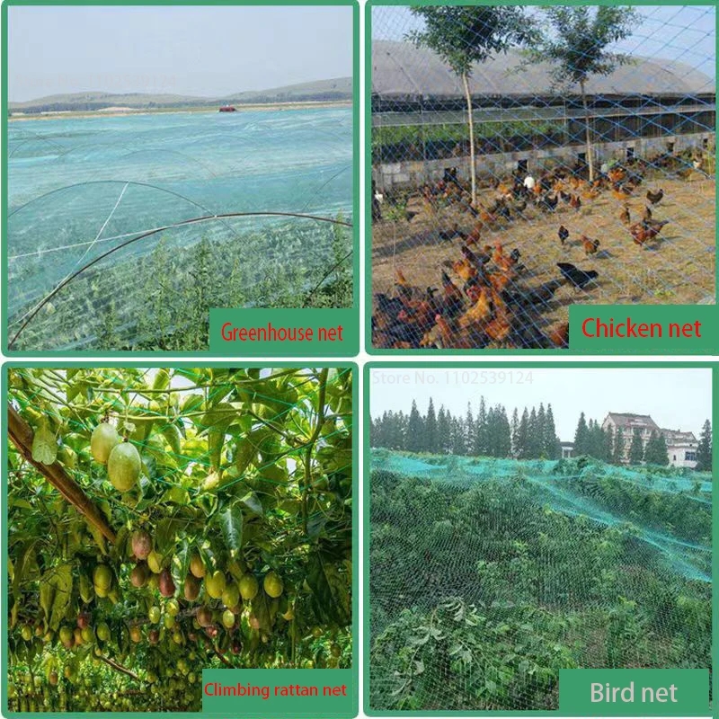 Protective Fence Net Anti-bird - Fishing Equipment Net 리뷰 및 가격