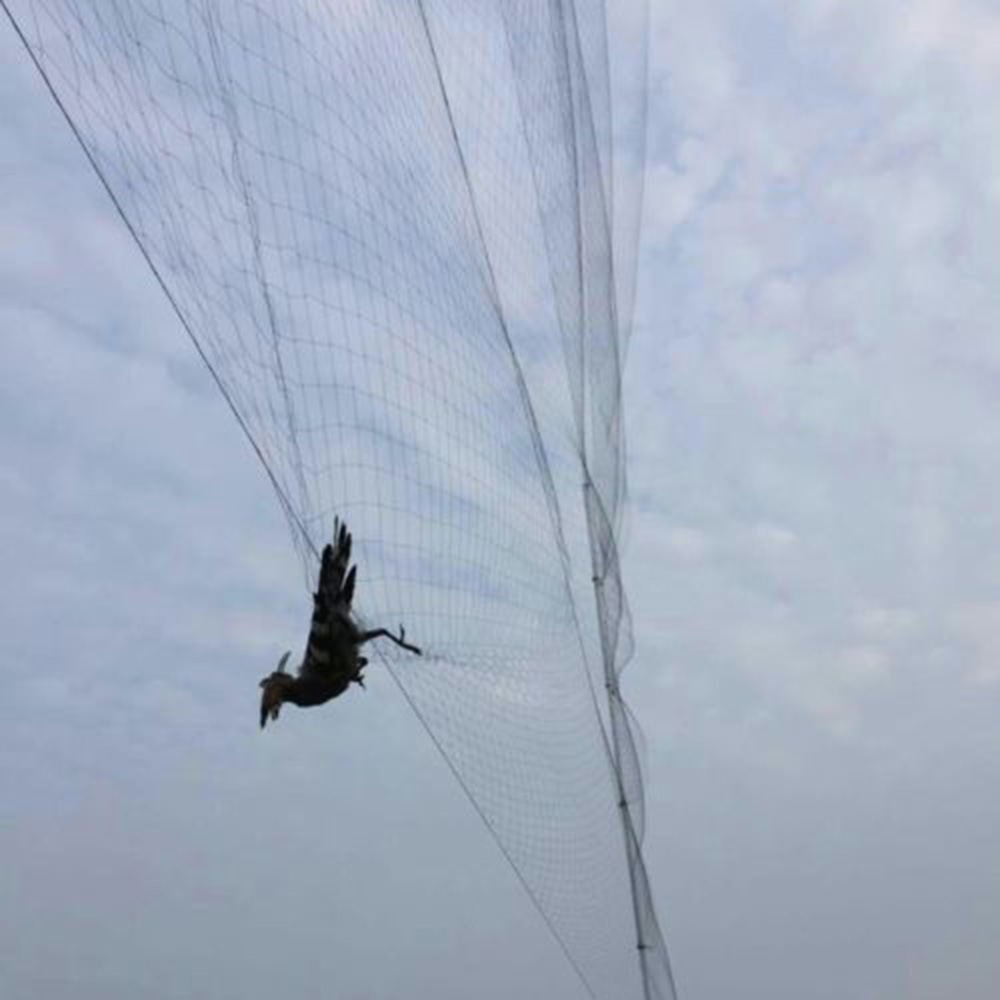 Bird Net Anti Bird Catcher Net - Fishing Equipment Net 리뷰 및 가격