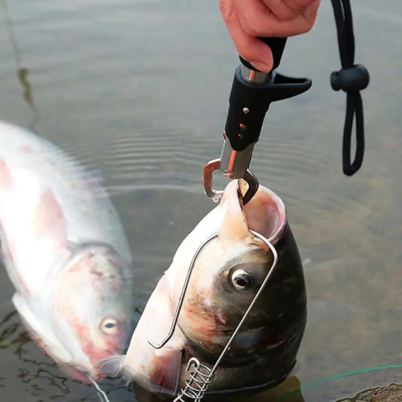 1/2/3/4/5pcs Portable Fishing  - Freshwater Fishing Kit 리뷰 및 가격