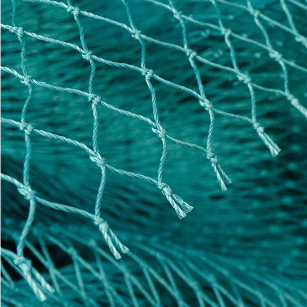 Solid Anti Bird Netting Garden - Fishing Equipment Net 리뷰 및 가격