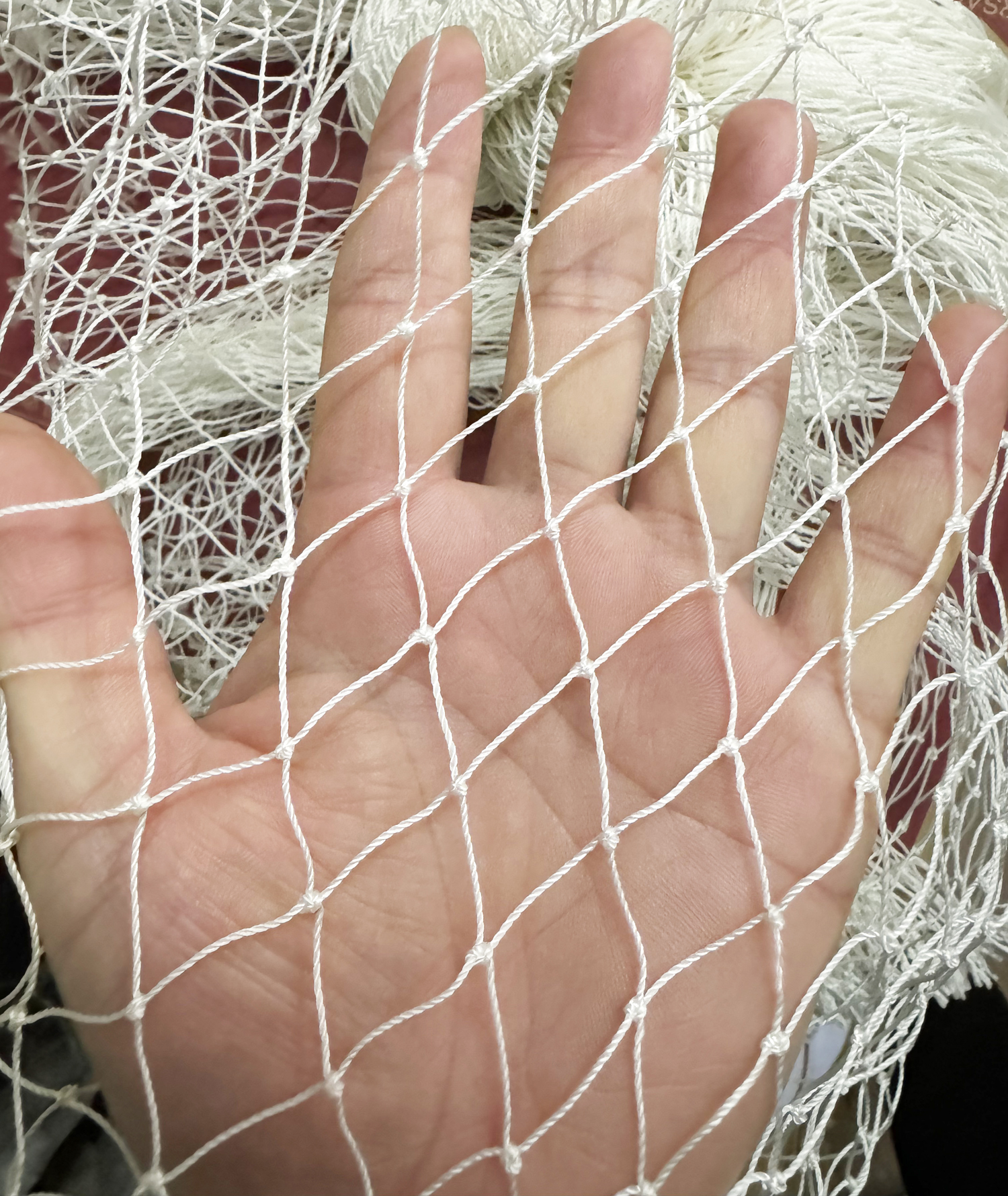 Heavy Duty Nylon Netting, Knot - Fishing Equipment Net 리뷰 및 가격
