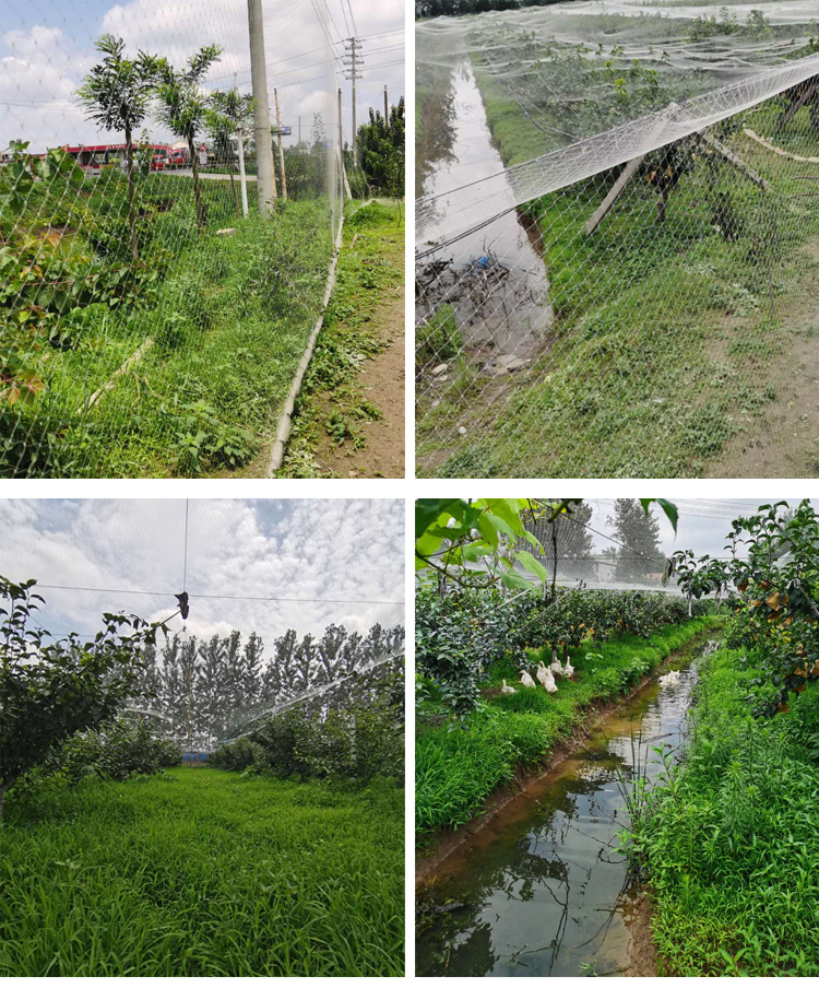 Heavy Duty Nylon Netting, Knot - Fishing Equipment Net 리뷰 및 가격